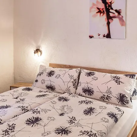 Apartamento Fischerstube *
